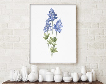 Impression d'art Texas Bluebonnet, tableau unique, fleur minimaliste, décoration aquarelle, oeuvre d'art de la nature, illustration de fleur, clipart botanique