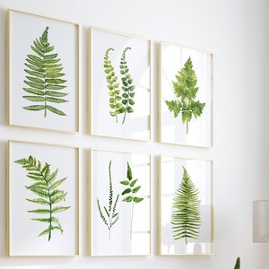 Aquarel varen set van 6 prenten, minimalistische beeldende kunst, handgeschilderd en omgezet in giclee, botanische schilderkunst, groenprint