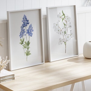 Virginia Dogwood Branch e Bluebonnet Bundle, set di 2 stampe, fiori ad acquerello, decorazione murale minimalista, fiori dello stato