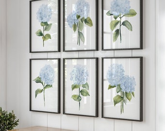 May include: Six framed watercolor prints of blue hydrangea flowers hang on a white wall. A wooden console table with a woven basket and potted plants sits below. A hat hangs on the wall near a black door.