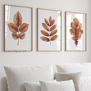 Puede incluir: Tres impresiones enmarcadas de arte botánico con ilustraciones en acuarela de hojas de otoño en tonos marrones y naranjas. Las impresiones cuelgan sobre un sofá blanco con varias almohadas. También se ven una mesa de centro de madera y una ventana con contraventanas.