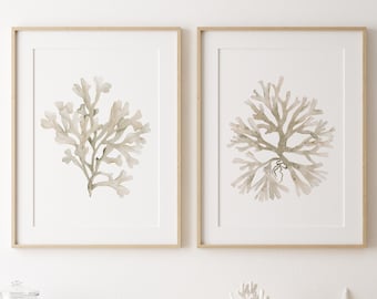 Stampa artistica color crema corallo, acquerello corallo, stampa murale ecrù, dipinto di alghe coralline, set di 2 stampe, arte botanica, opera d'arte nautica