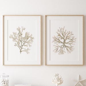 Coral Cream Art Print, Coral Watercolor, Ecru Wall Art, Coral Seaweed Painting, Set of 2 Prints, Botanical Art, Nautical Artwork