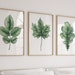 see more listings in the GREEN Botanical Prints section