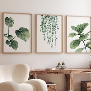 Aquarelprints Japandi Monstera en parelsnoer | Set van 3 botanische prints | Scandinavische muurkunst | Decoratie tropische bladeren