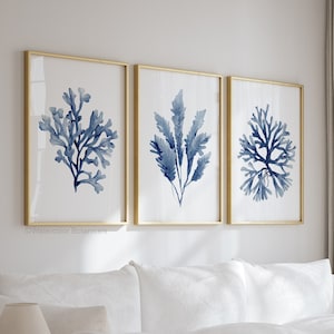 Decorazione murale blu navy, stampa di alghe coralline, set di 3 stampe ad acquerello, opera d'arte minimalista, arte botanica, nautica, casa sulla spiaggia, decorazione costiera