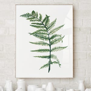 Stampa di felce verde dipinta a mano - Arte murale botanica minimalista, illustrazione di piante ad acquerello, decorazione ispirata alla natura, stampa singola