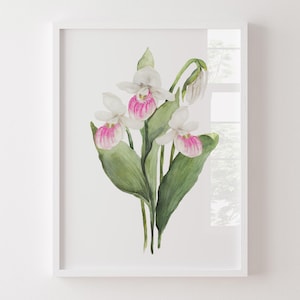 Impresión llamativa de zapatilla de dama, arte mural en acuarela, impresiones botánicas, zapatilla de dama de la reina, flores estatales, póster moderno minimalista, flores silvestres