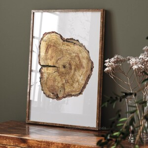 Stampa del tronco d'albero, fetta di legno, sezione trasversale di un pino, stampa quadrata extra large, pittura ad acquerello, arredamento autunnale moderno in stile fattoria