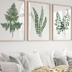 Aquarel groene varens bladeren, moderne muurkunst, groot blad op witte achtergrond, set van 3 botanische prenten, moderne boerderijkunst, landhuis