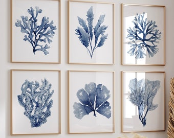 Watercolor Corals Set of 6 Prints, Sea Fern Minimalist, Navy Blue Denim Leaf Leaves, Botanical Print,  Nature Decor, Hand Painted