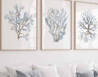 Corales azul claro, juego de 3 láminas, decoración minimalista de pared costera para sala de estar o dormitorio, arte moderno de Watercolor Botanicals