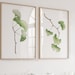 see more listings in the GREEN Botanical Prints section