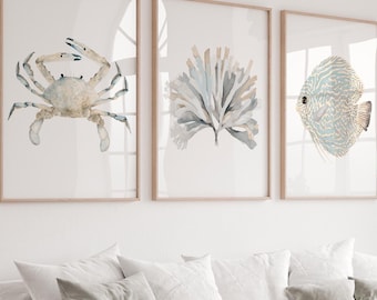 Coastal Boho Art - Seaweed Crab Discus Fish Minimalist Artwork, Modern Hamptons Beach House Art Set of 3 Sea Life Animals, Nursery Prints