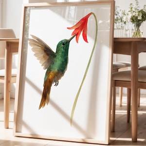 Stampa di colibrì ad acquerello – Arte murale minimalista naturalistica, illustrazione botanica di uccelli, poster floreale di colibrì per un arredamento moderno.