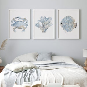 Blue Three Prints / Creature marine minimaliste, arte dei coralli / Decorazioni murali per casa sulla spiaggia e camera da letto