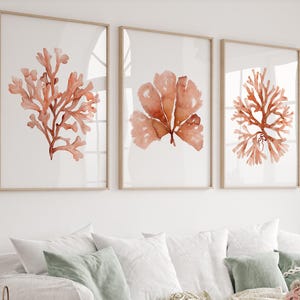 Orange Küsten-Wandkunst - 3er-Set Minimalistische Algen- & Algendrucke, Botanische Kunst, Korallen, Moderne Wandkunst
