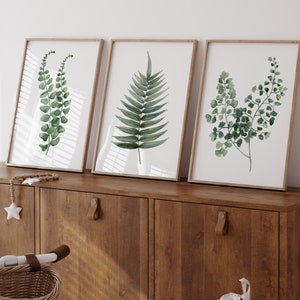 Impressões de samambaias botânicas – Conjunto de 3 impressões | Decoração de parede botânica minimalista | Arte de samambaia pintada à mão inspirada na natureza | Pôsteres grandes