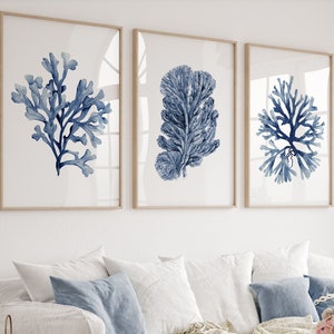 Set di 3 stampe di coralli acquerellati contemporanei, coralli e alghe blu navy, arredamento minimalista per la casa sulla spiaggia sopra il letto king size