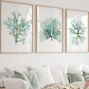 Zarte Teal Coral & Algen Grün Prints - 3er Set Aquarell Nautische Wandkunst für modernes Strandhaus, Kunstwerk