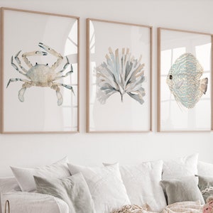 Arte boho costiera - Alghe Granchio Disco Pesce Minimalista Opera d'arte, Moderna Hamptons Beach House Arte Set di 3 Animali della vita marina, Stampe per bambini
