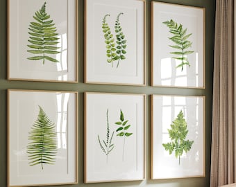 Watercolor Fern Set of 6 Prints, Minimalist Fine Art, Hand Painted and turned into Giclee, Botanical Painting, Greenery Print