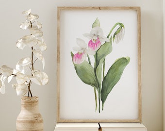 Auffälliger Frauenschuh Druck, Aquarell Wandkunst, botanische Drucke, Damenschuh der Königin, Zustand Blumen, minimalistisches modernes Poster, Wildblume