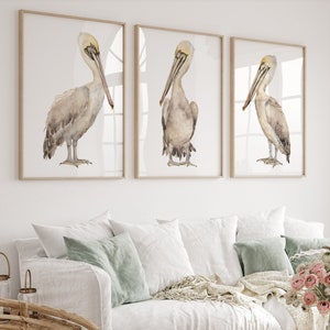 Set di 3 stampe di pellicani bruni acquerellati, decorazione da parete in stile fattoria costiera, grandi uccelli minimalisti di Eveline Patrzalek, opera d'arte moderna con pellicani