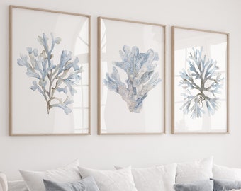 Minimalist Coastal Art, Set of 3 Prints, Watercolor Light Blue & Beige Corals by Watercolor Botanicals, Modern Hamptons Wall Decor