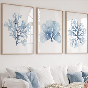 Blue Wall Art for Living Room – Set of 3 Large Coral Prints, Minimalist Coastal Decor for Above Couch or Bed, Watercolor Botanical Paintings
