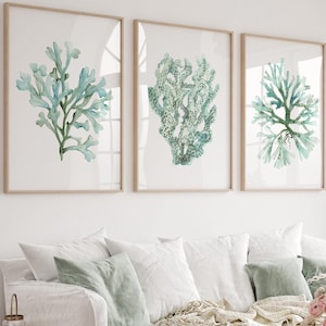 Coralli color verde acqua, set di 3 stampe, arte murale minimalista con acquerello botanico, decorazione per la casa sulla spiaggia, decorazione per la casa costiera