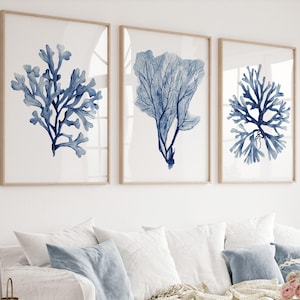 Navy Coral Wall Art – Set of 3 Coastal Prints – Blue Seaweed Watercolor Decor for Living Room or Beach House