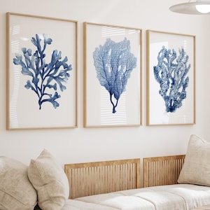 Impressões de arte de parede em coral índigo marinho, conjunto de 3 pinturas costeiras - arte botânica de praia para sala de estar, decoração náutica, vida marinha e arte oceânica