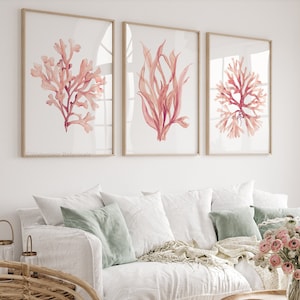 Coralli rosa corallo – Set di 3 stampe murali costiere – Stampe minimaliste di case sulla spiaggia – Grandi poster artistici – Decorazioni con alghe di Hamptons