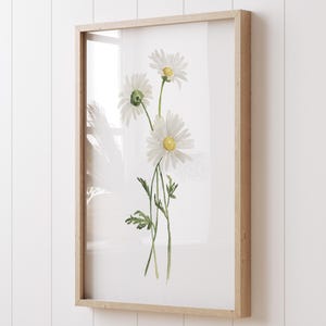 Impresión minimalista de acuarela de margaritas: arte botánico, decoración floral de pared estilo cottagecore con flores silvestres, ilustración de naturaleza moderna, flores de abril