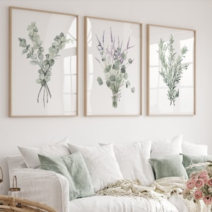 Meraviglie dei poster botanici – Set di 3 stampe ad acquerello verde tenue, illustrazioni di piante di eucalipto, lavanda e rosmarino