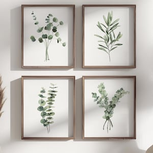 Eucalyptus Gallery – Set di 4 stampe botaniche ad acquerello, arte murale minimalista verde, decorazioni vegetali moderne per casa e ufficio
