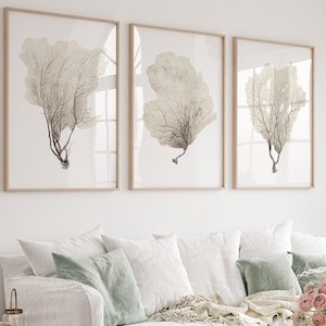 Prints bruine zee waaierkoralen, set van 3 minimalistische kunstposters – Muurkunst kust