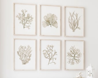 Set of 6 Prints, Coral Watercolor, Seaweed Painting, Minimalist Wall Art, Giclee, Botanical Decor, Ocean Plants, Beige Neutral Artwork