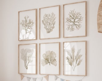 Boho Coastal Wall Decor, Neutral Coral Seaweed, Minimalist Set of 6 Prints, Beige Grau Ecru Poster, Botanische Natur Dekor, Gemälde, Bild