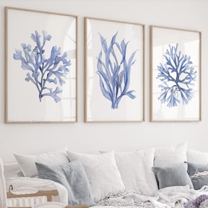 Blue Corals With Veri Peri Undertones, Coastal Motive for Home or ...