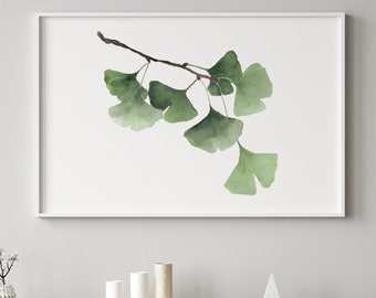 Ginkgo Biloba Aquarelle Peinture, Fine Art Print, Ginkgo Arbre Branche, Image Horizontale