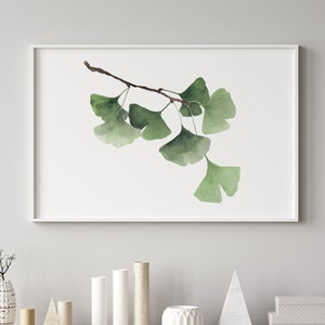 Ginkgo Biloba Watercolor Painting, Fine Art Print, Ginkgo Tree Branch, Horizontal Picture