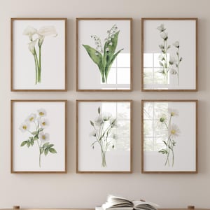 Impressions de fleurs aquarelles – lot de 6 fleurs printanières, art mural, décoration florale minimaliste pour ferme moderne