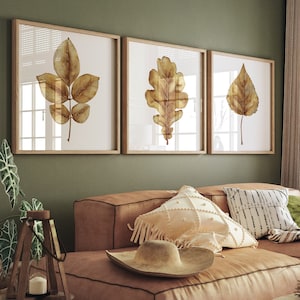 Set of 3 Watercolor Leaf Prints – Lacy Oak, Texas Ash and Aspen Leaves in Burnt Sienna, Square or Vertical Botanical Art