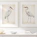 see more listings in the WATERCOLOR BIRDS section