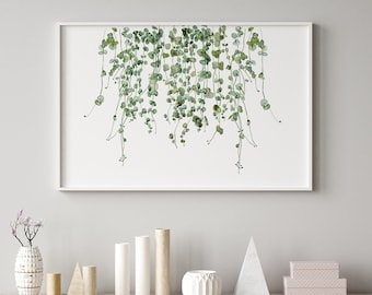 Watercolor Ceropegia Plant, Minimalist Wall Decor, Hygge Artwork, Horizontal Image, Hanging Leaves, String of Hearts, Modern Art