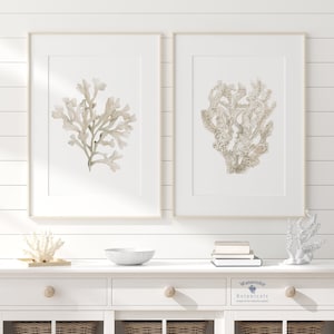 Set beige di 2 coralli, decorazione murale minimalista, dipinto boho moderno, opera d'arte beige ecrù, decorazione per casa sulla spiaggia, neutri costieri