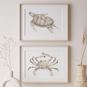 May include: Two framed wall art prints featuring watercolor illustrations of a sea turtle and a crab in neutral beige and brown tones. The prints are displayed in light wood frames, positioned one above the other on a plain wall surface.