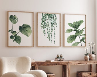 Decorazione da parete verde, Monstera Deliciosa Fiddle Leaf Fico Filo di perle, Set di 3 stampe ad acquerello, Arte delle piante domestiche, Stampe botaniche